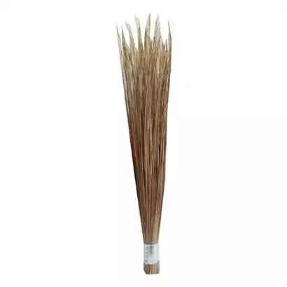 Big Broom 31" (Shola) each